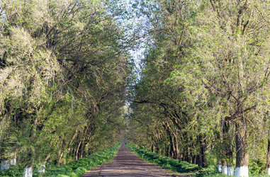 Similar image 21024340