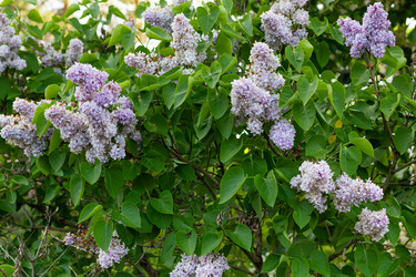 Similar image 21024341