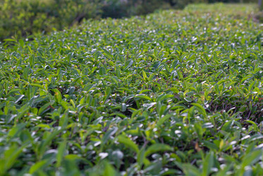 Similar image 21024342