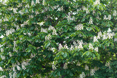 Similar image 21024343