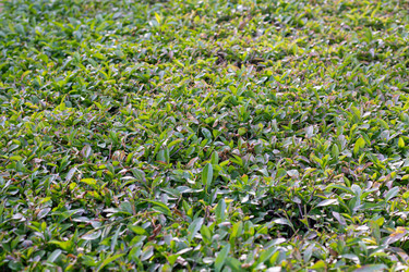 Similar image 21024344