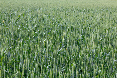 Similar image 21037354