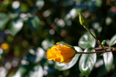 Similar image 21037355