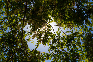 Similar image 21037356