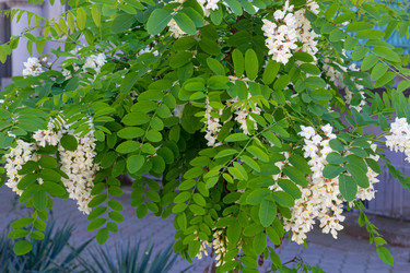 Similar image 21037358