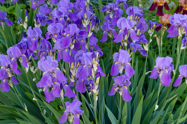 Similar image 21037360