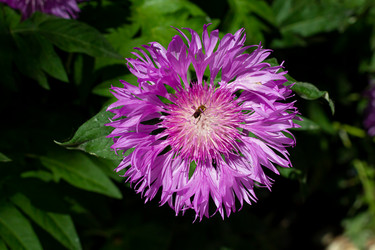 Similar image 21037379