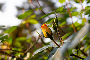 Similar image 21037380