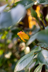 Similar image 21037381