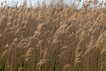 Similar image 21037382