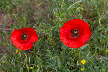 Similar image 21024304