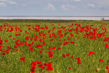 Similar image 21024305