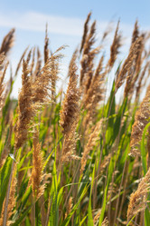 Similar image 21024306