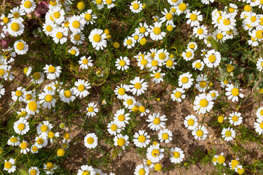 Similar image 21024307