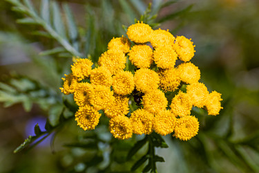 Similar image 21053530