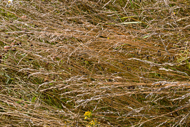 Similar image 21053531