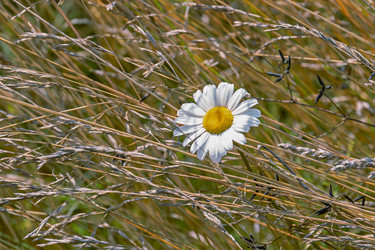 Similar image 21053533