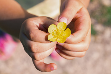 Similar image 21053534