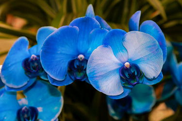 Similar image 21053539