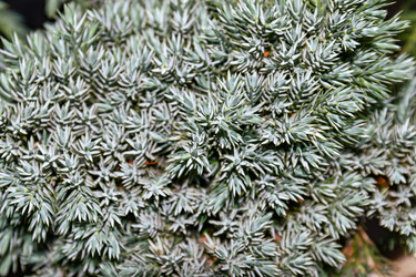 Similar image 21053541