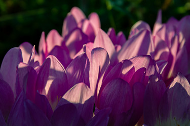 Similar image 21053542