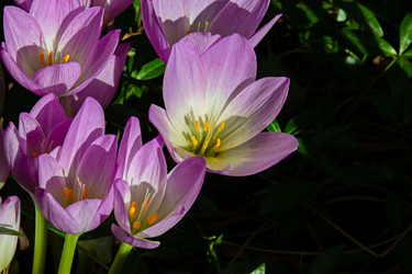 Similar image 21053544