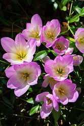 Similar image 21053545