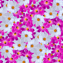 Similar image 21053547