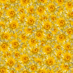 Similar image 21053549