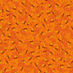 Similar image 21053553