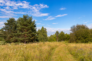 Similar image 21053901