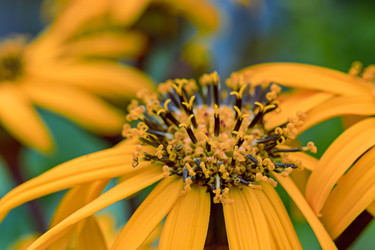 Similar image 21053902