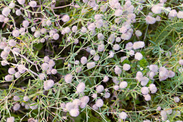 Similar image 21053903