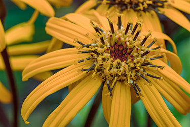 Similar image 21041528