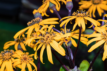 Similar image 21041532