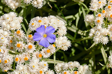 Similar image 21041533