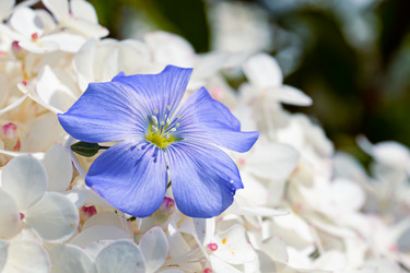 Similar image 21041534