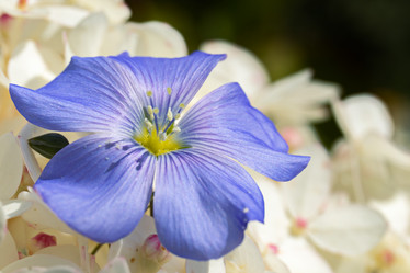 Similar image 21041535