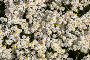 Similar image 21041536