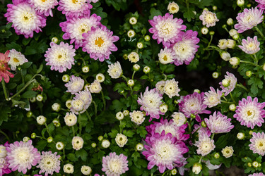 Similar image 21041537