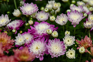 Similar image 21041538