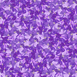 Similar image 21041539