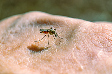 Similar image 21041540