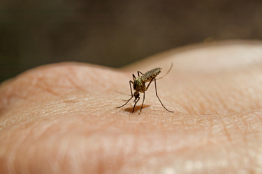 Similar image 21041541