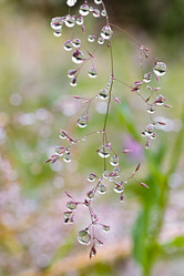 Similar image 21041544