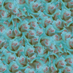 Similar image 21041548