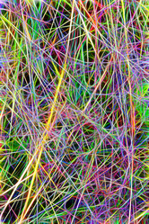 Similar image 21041554