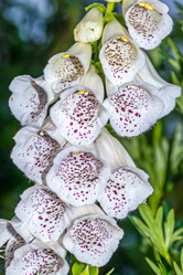 Similar image 21041558