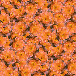 Similar image 21053555