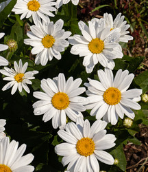 Similar image 21053556